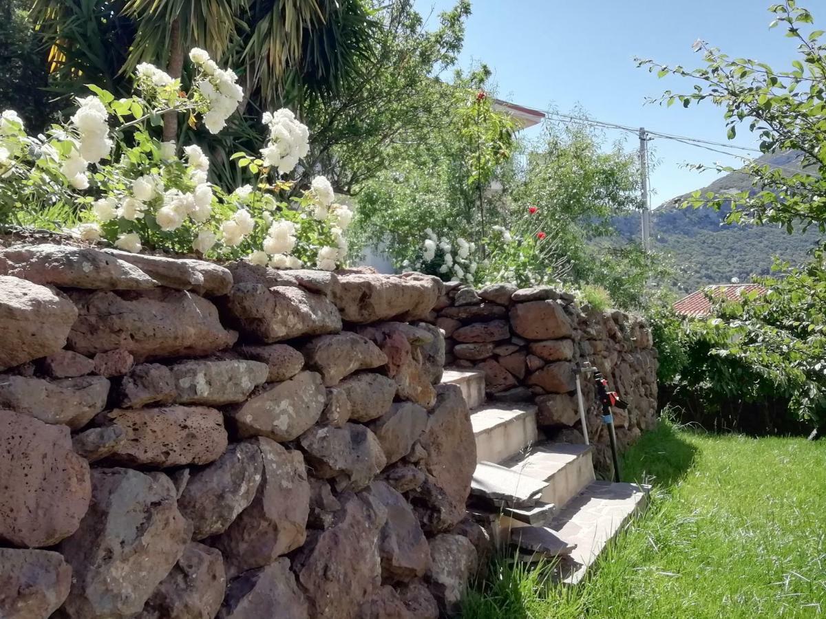Casa Vacanze Villa Rosetta Dorgali Exterior photo